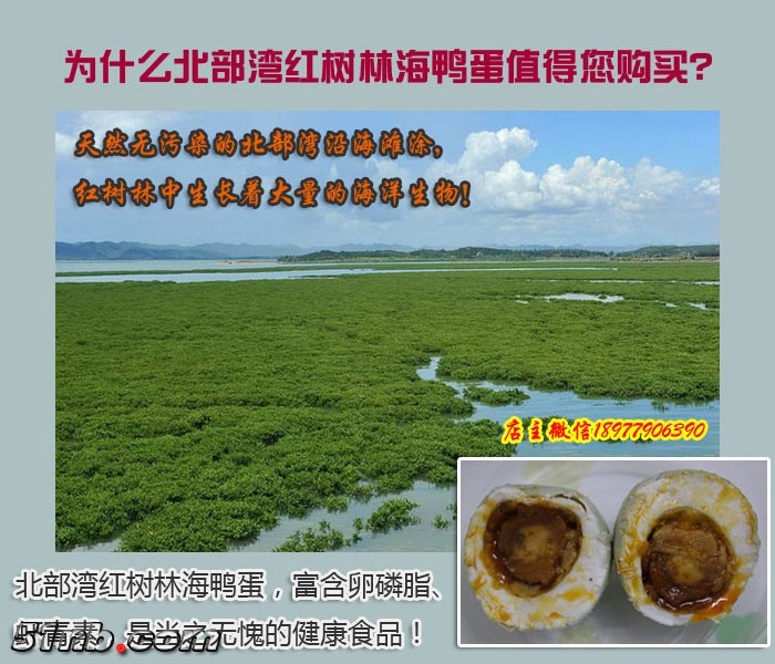 红树林海鸭蛋.jpg