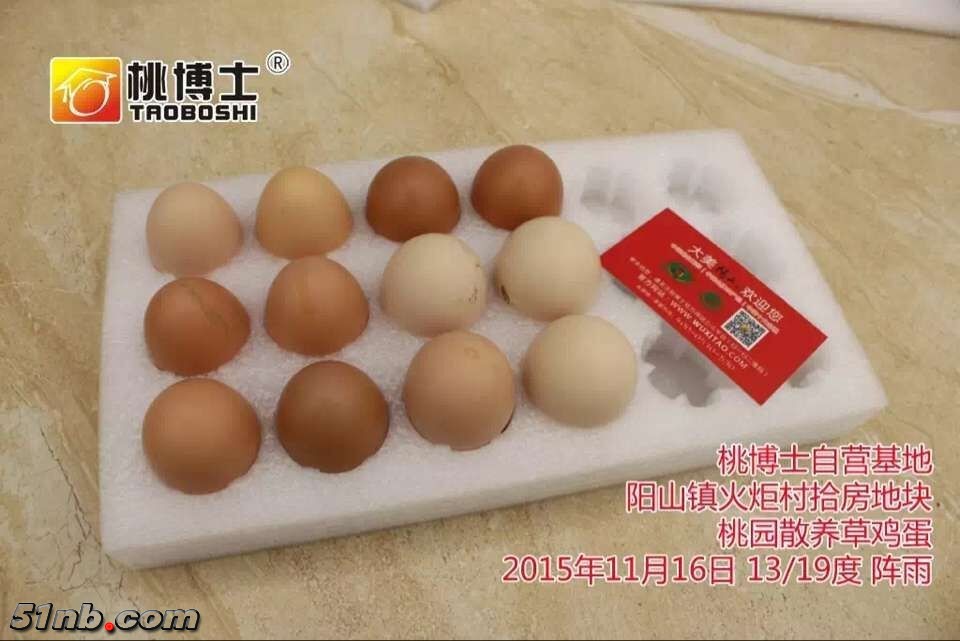 9.jpg 9.jpg