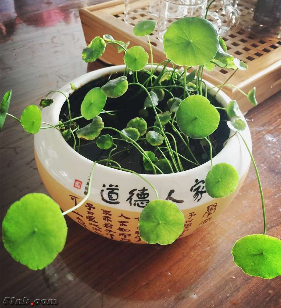 435614130073874772_副本.jpg
