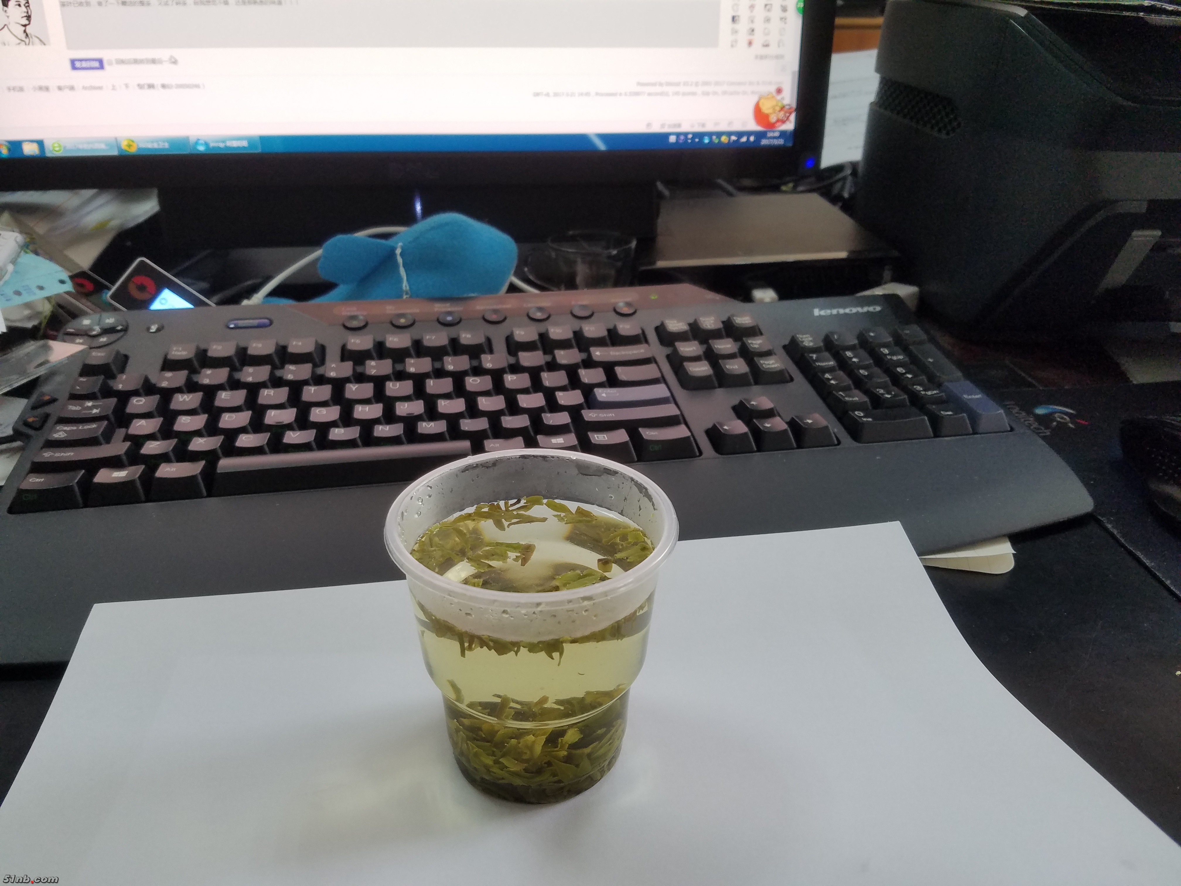 第二泡.jpg