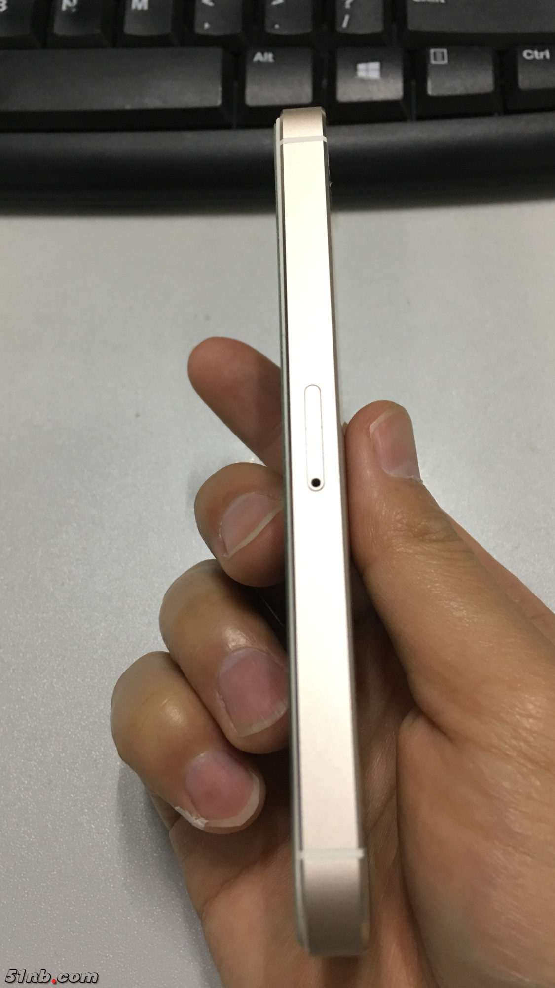 IMG_2385.PNG