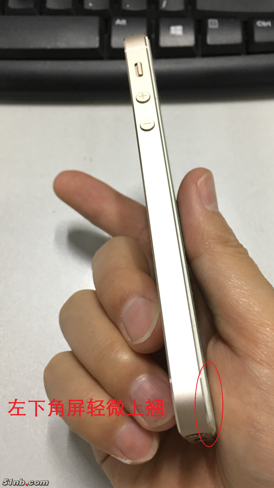 IMG_2386.PNG