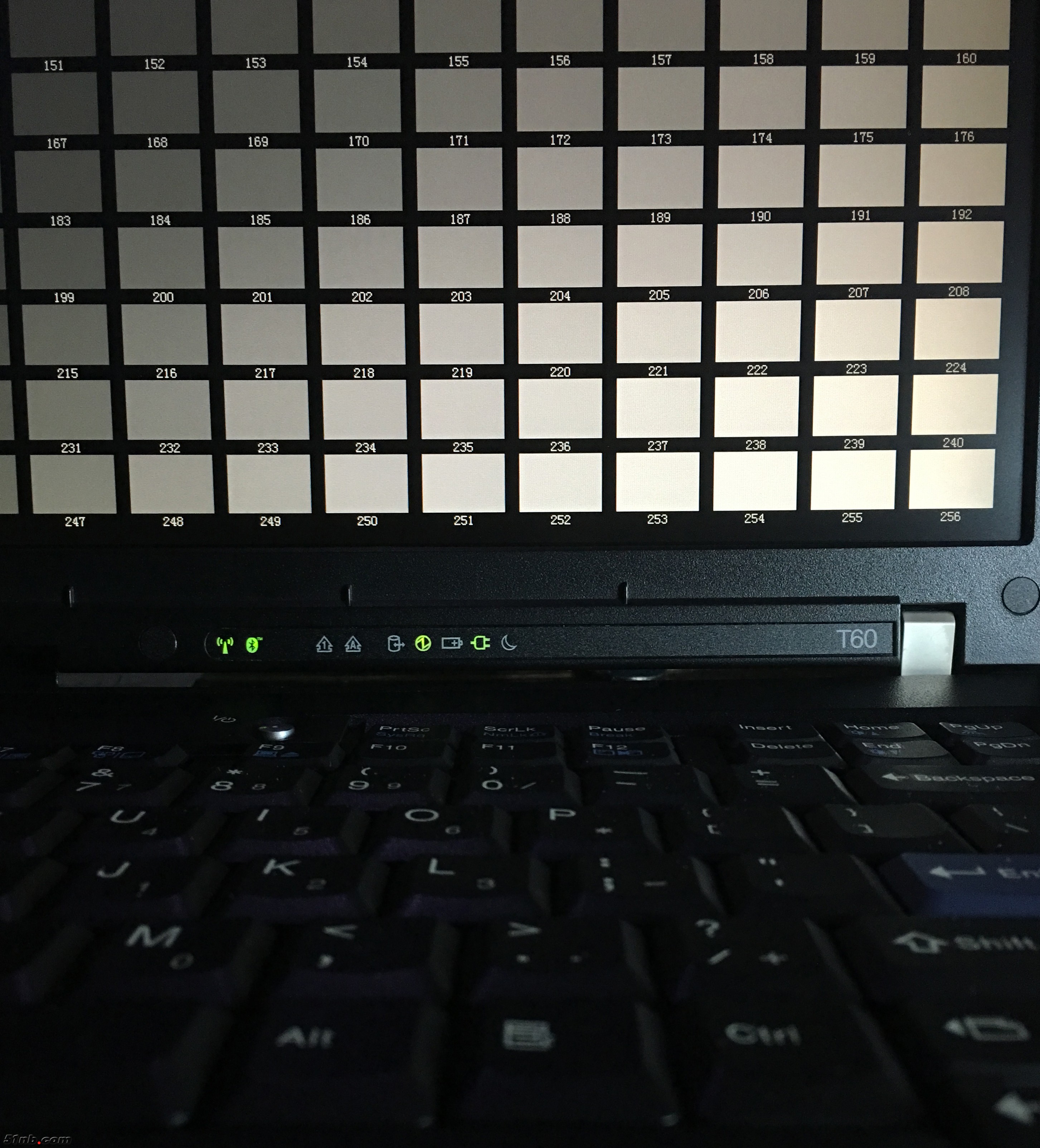 T60.jpg