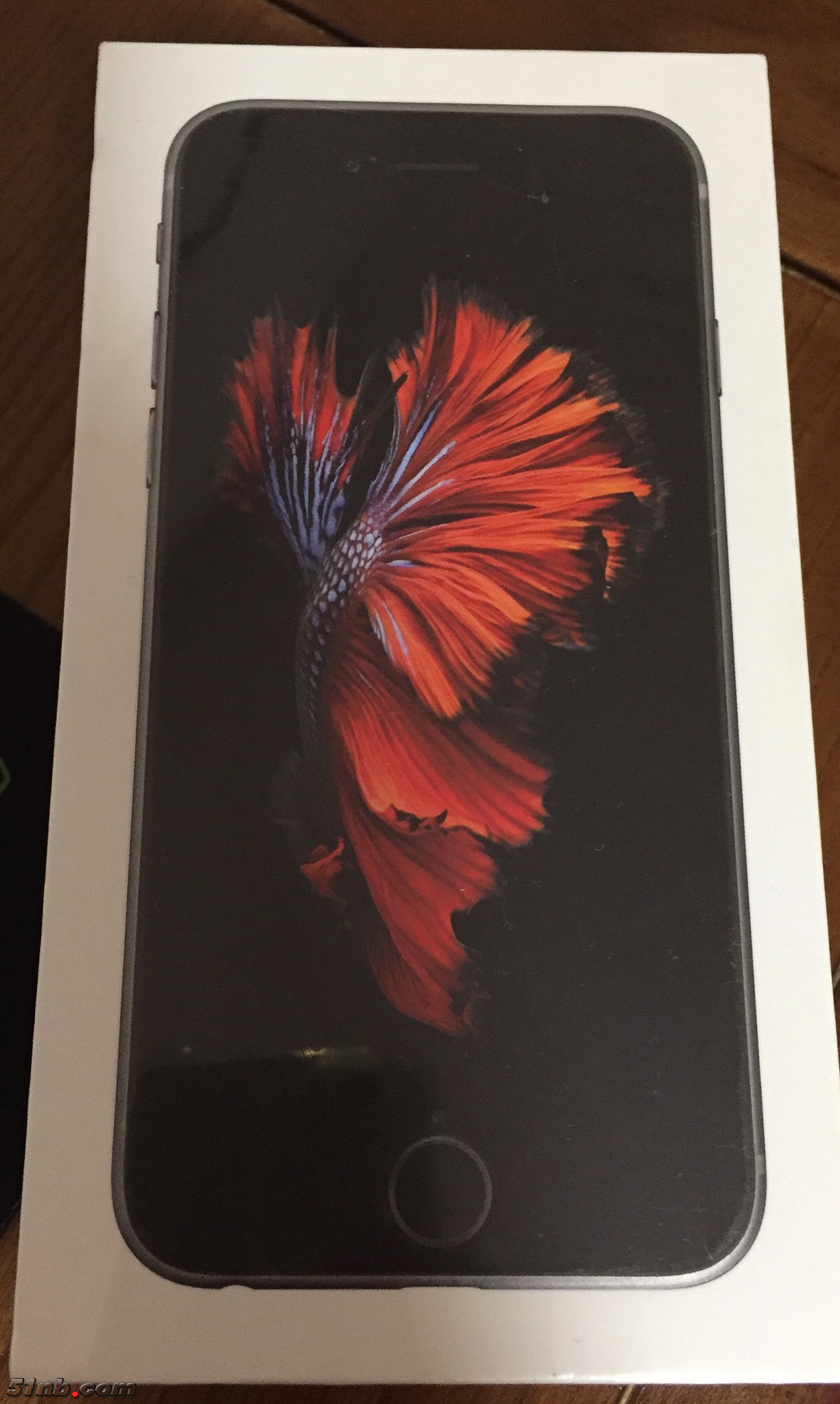 image2.jpeg