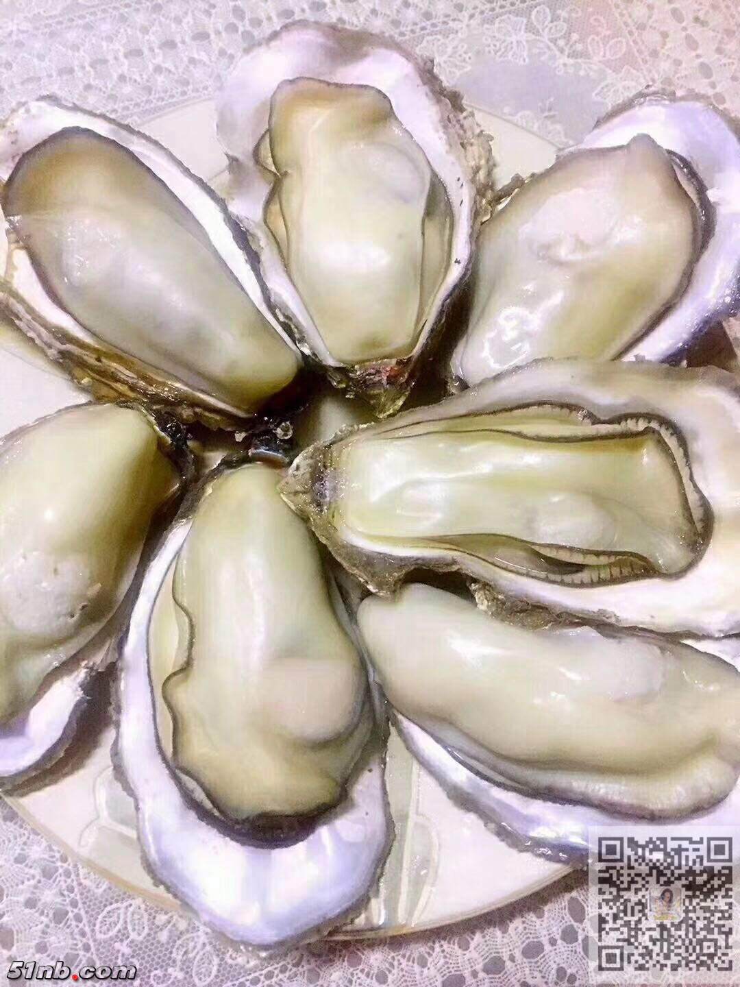 牡蛎.jpg