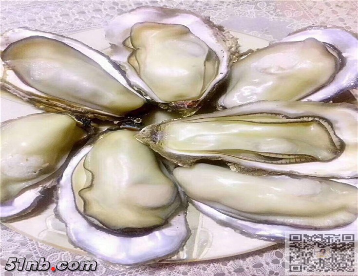 牡蛎_副本.jpg