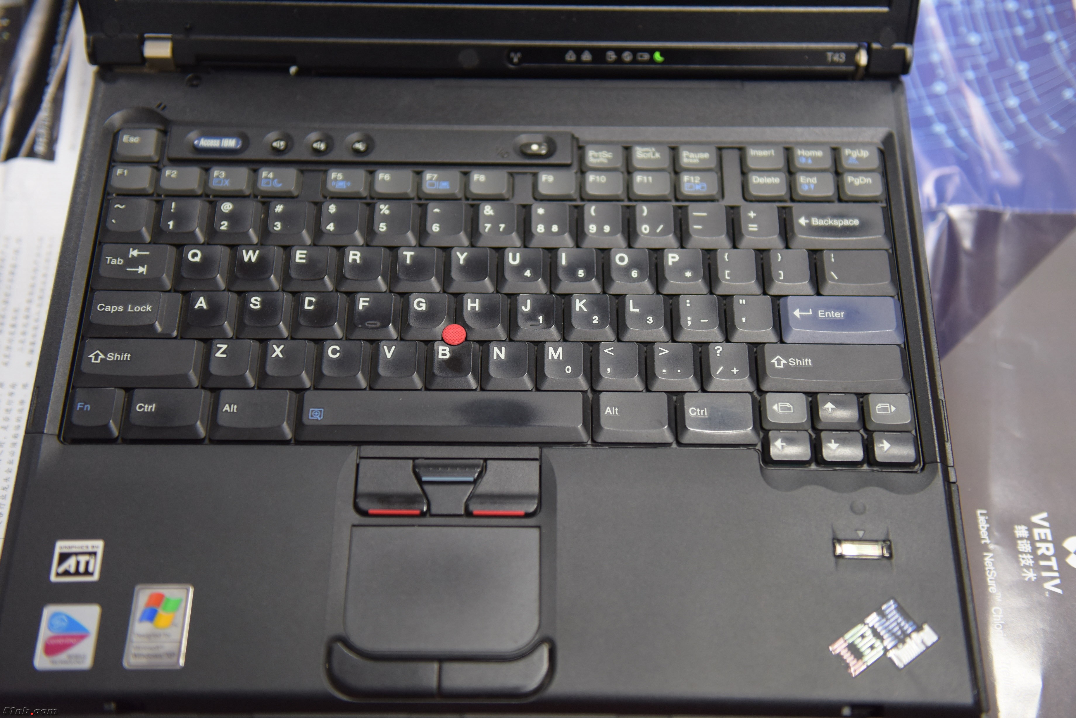 T43 (8).JPG