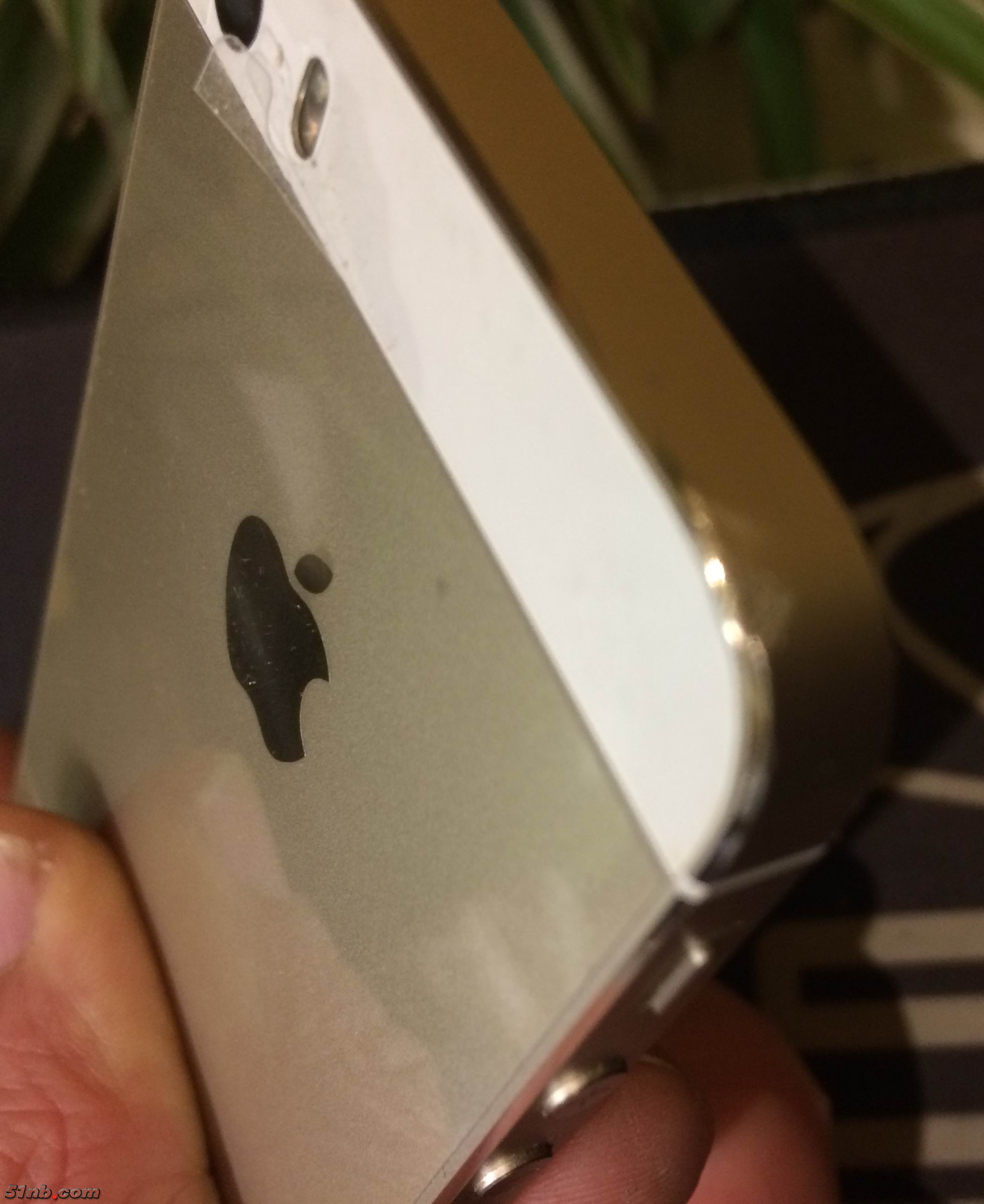 20171229_120603696_iOS.jpg