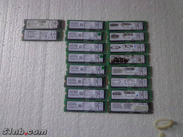 DSC02929_conew1.JPG