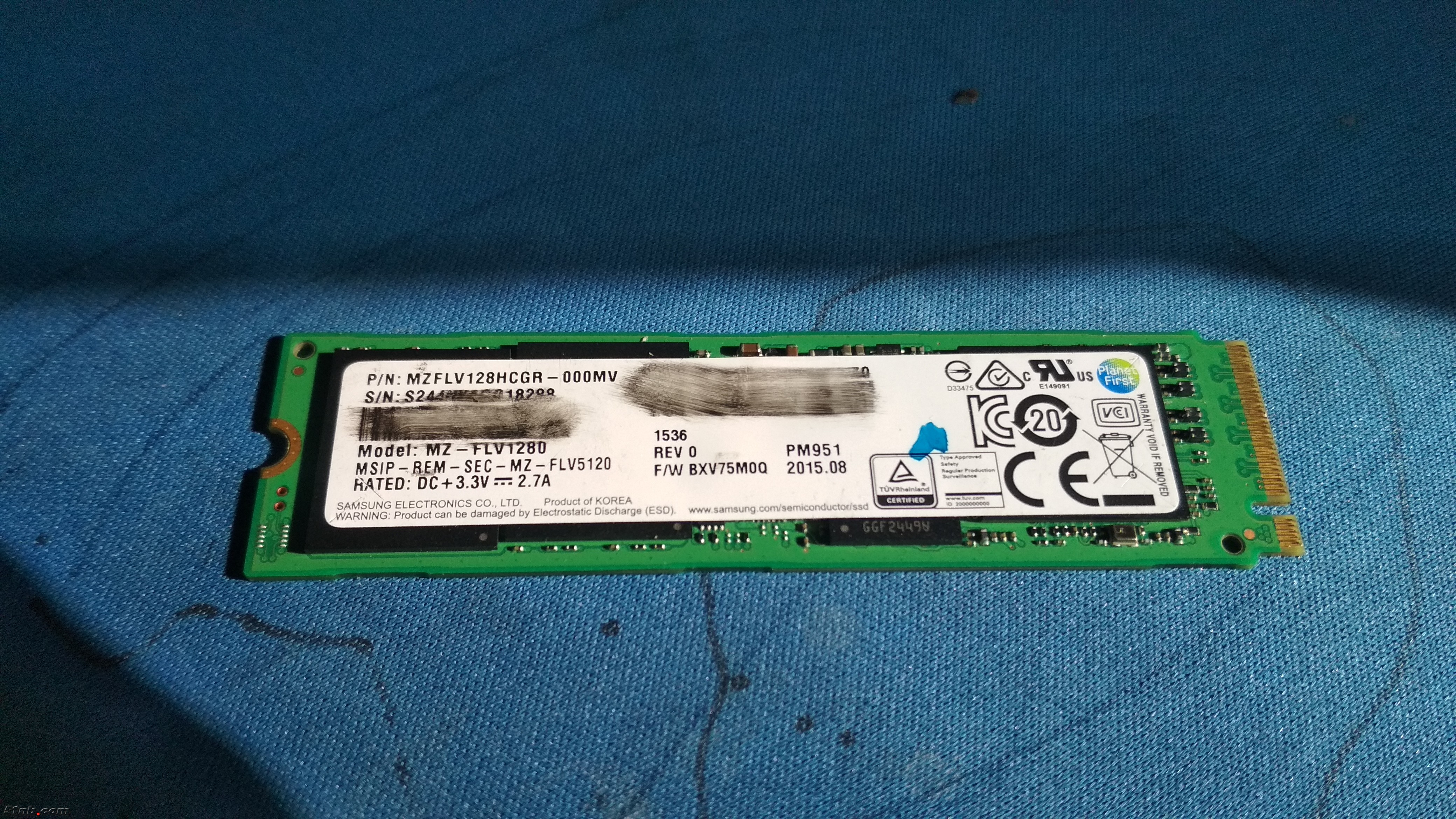 pm9511.jpg