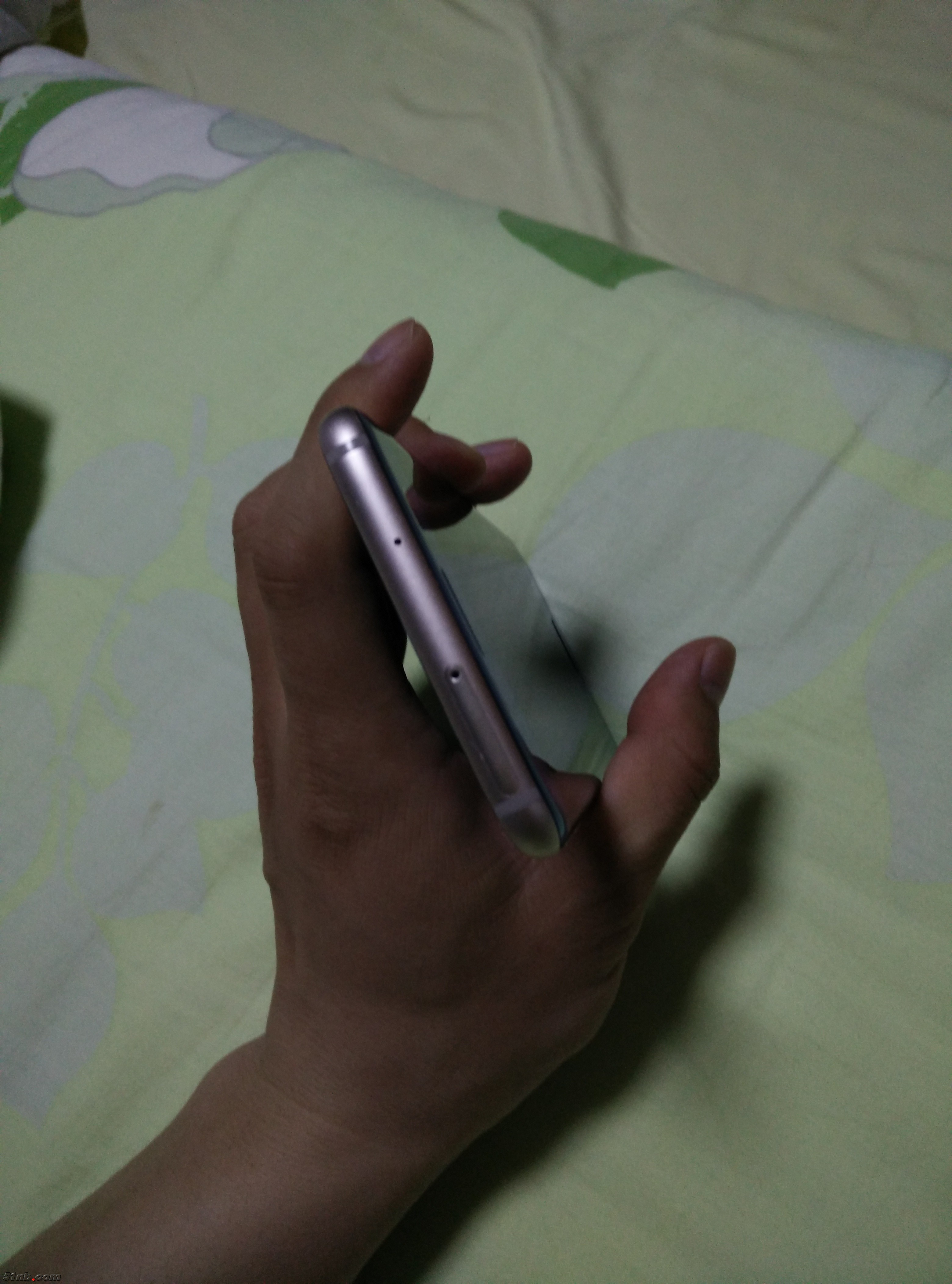 1264251850.jpg