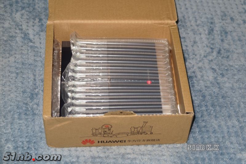 235829dpzbug31214stg8v.jpg.thumb.jpg