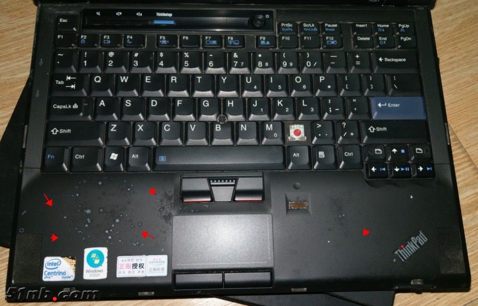 x3015.jpg