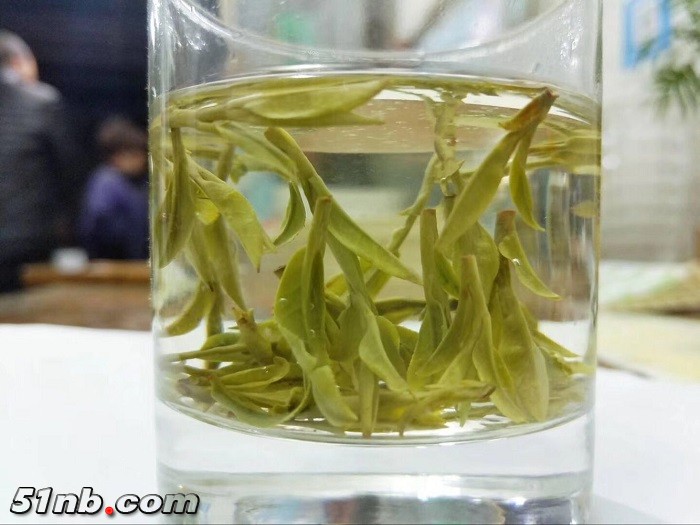 QQ图片20180329110128.jpg