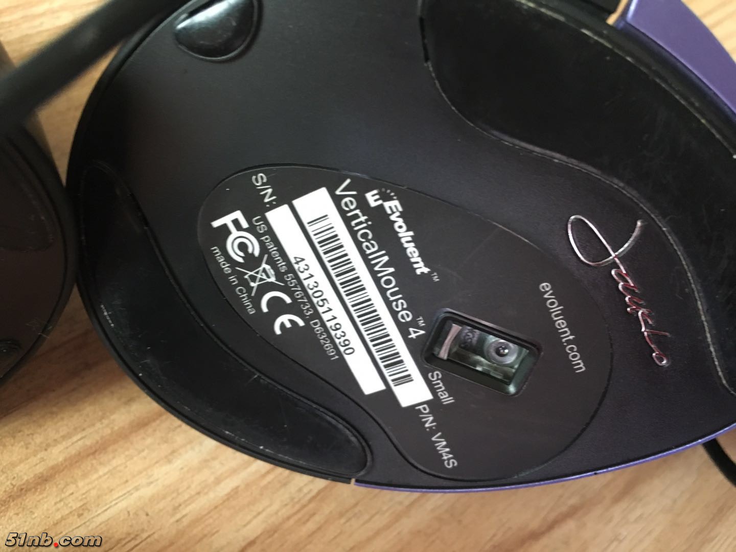 mouse 4-4.jpg
