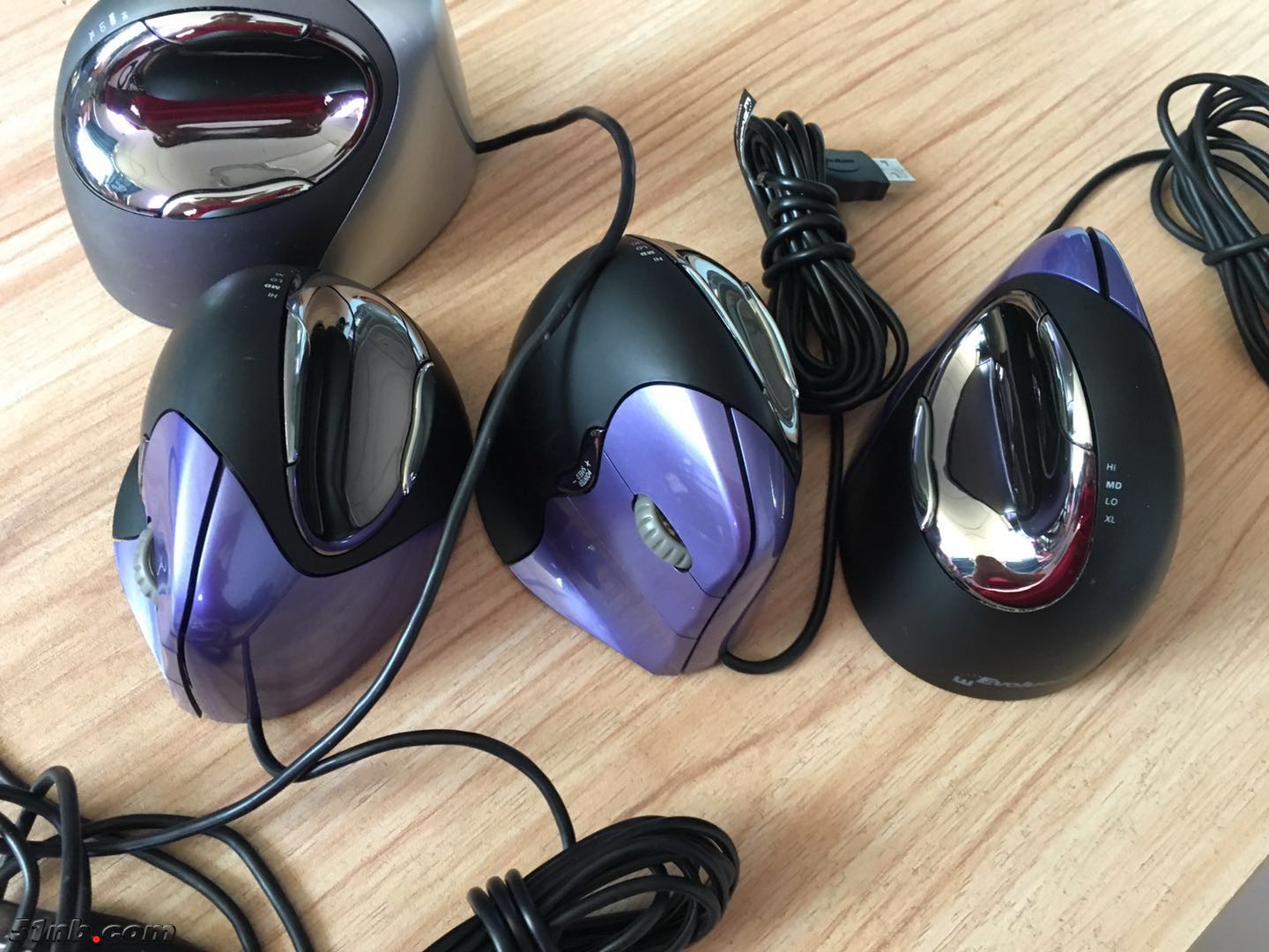 mouse 4-6.jpg