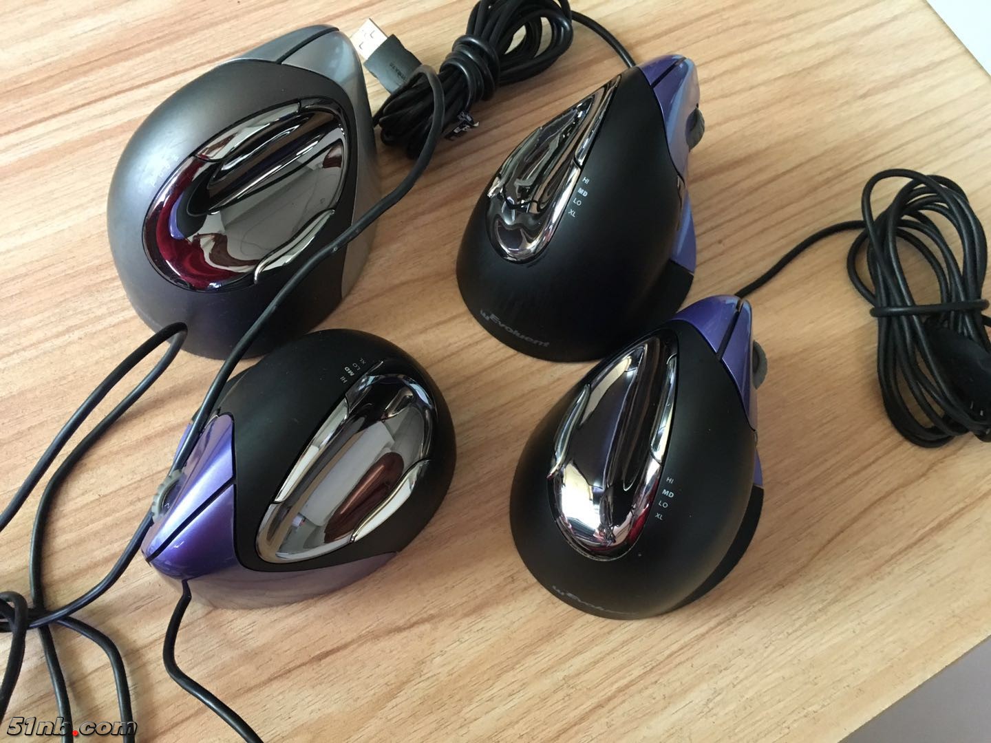 mouse 4-7.jpg