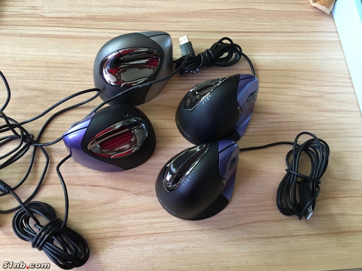 mouse 4-8.jpg