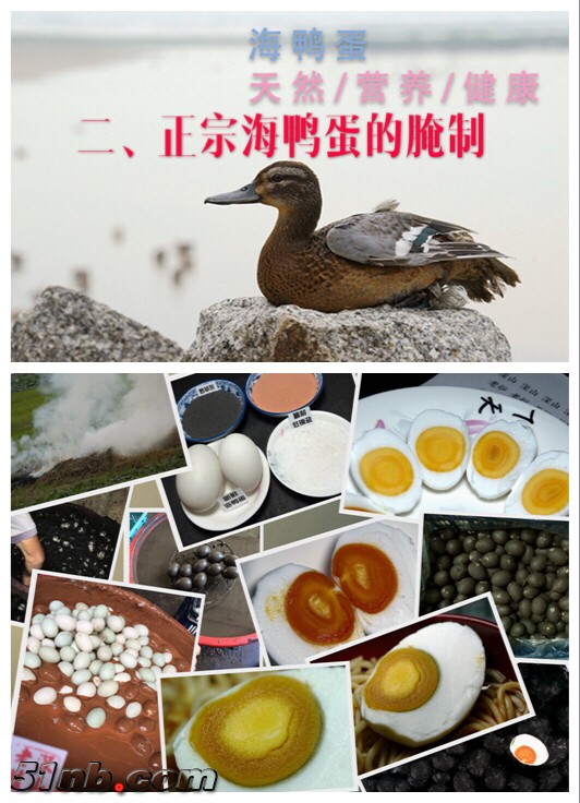 023DF9FF-6C57-41A3-A34B-53DAFA23A95D.jpeg