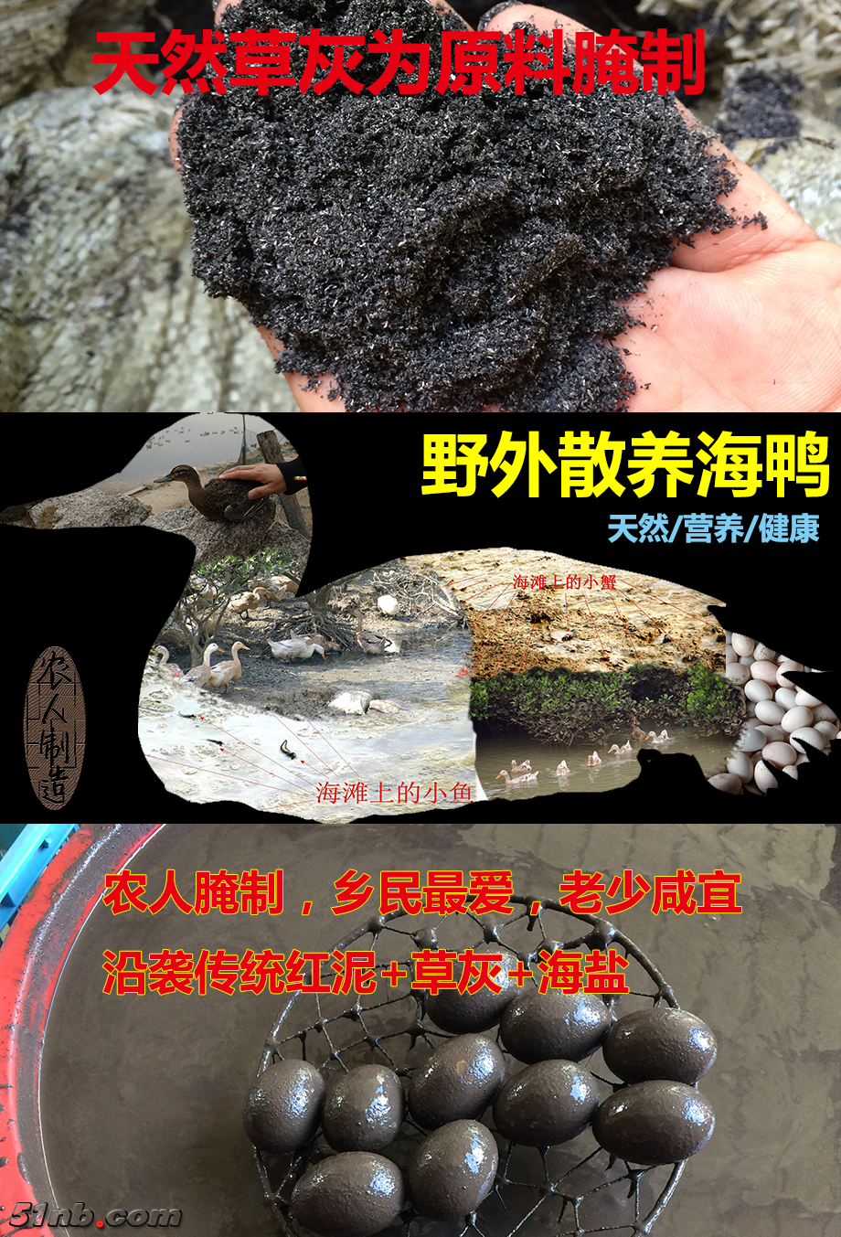 海鸭蛋文案-4.png