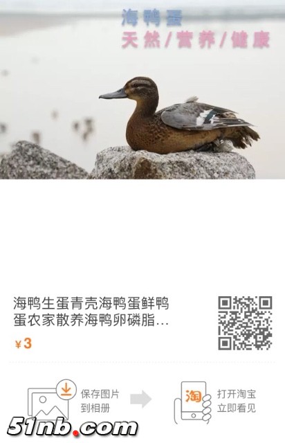 3F1B4273-AF43-4C1A-A81E-E504825EEFEA.jpeg