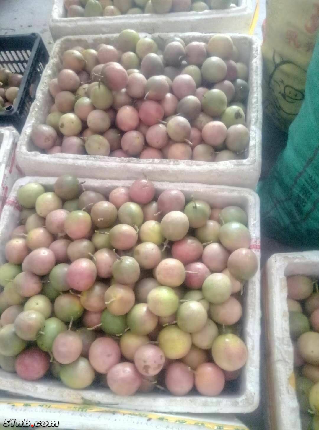 微信图片_20180629112358.jpg