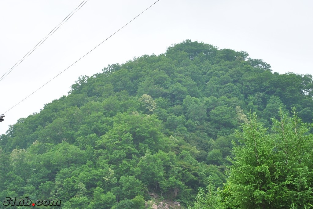 DSC_0056.JPG