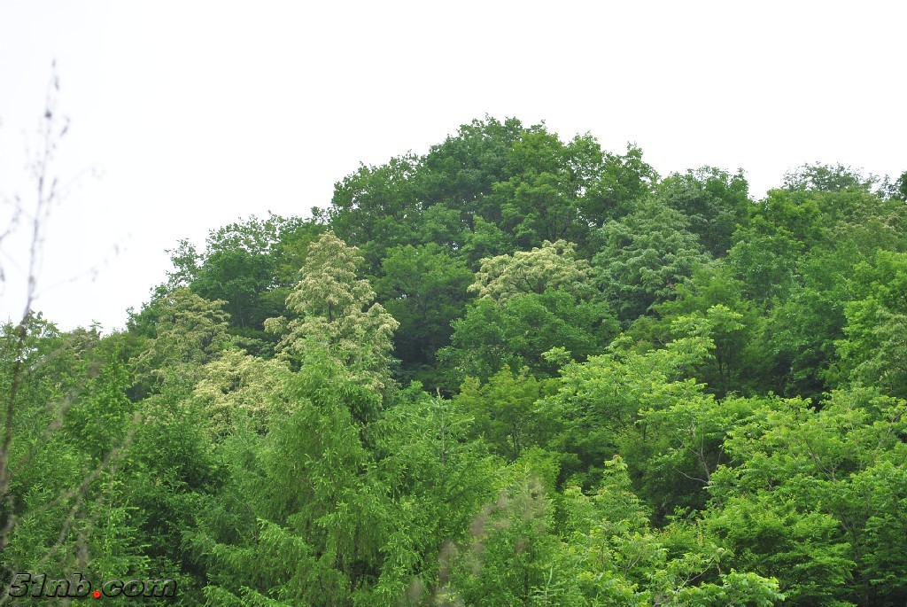 DSC_0046.JPG