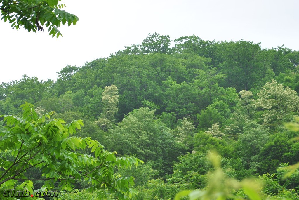 DSC_0054.JPG