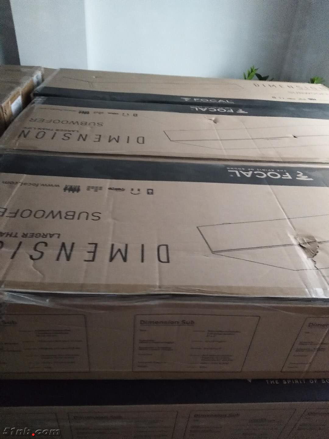 713892869.jpg