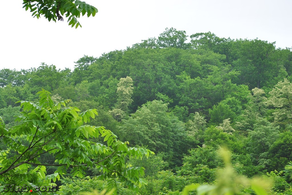 DSC_0050.JPG