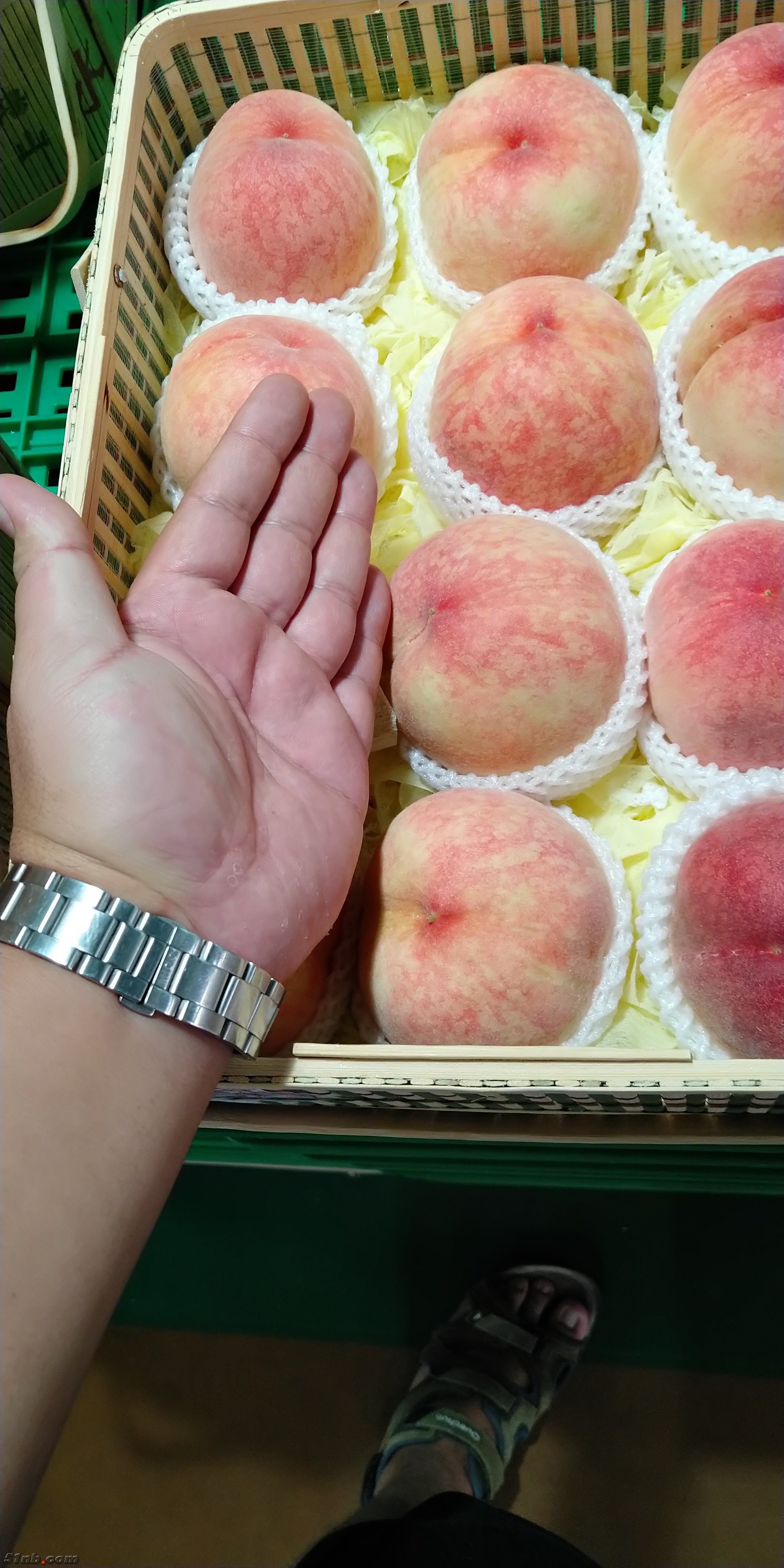 微信图片_20180711185131.jpg