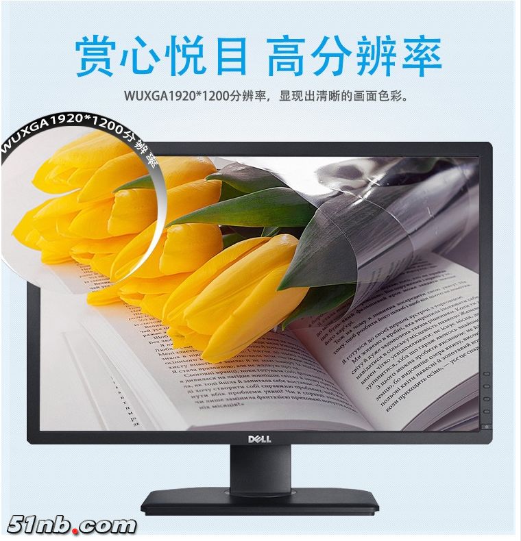 DELL 2412-3.png