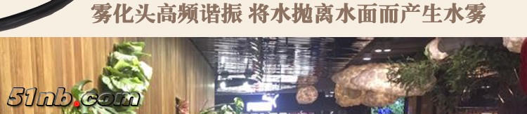六头十头雾化器描述_13.jpg