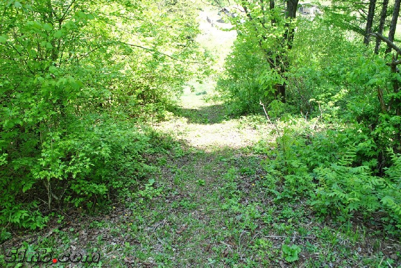 DSC_0055.JPG