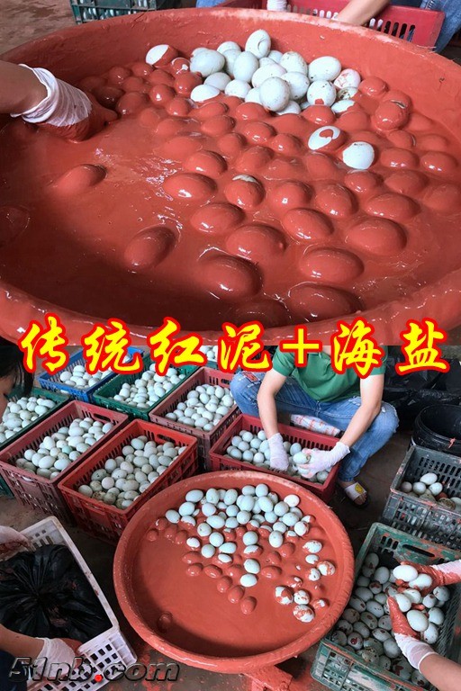 腌制.jpg