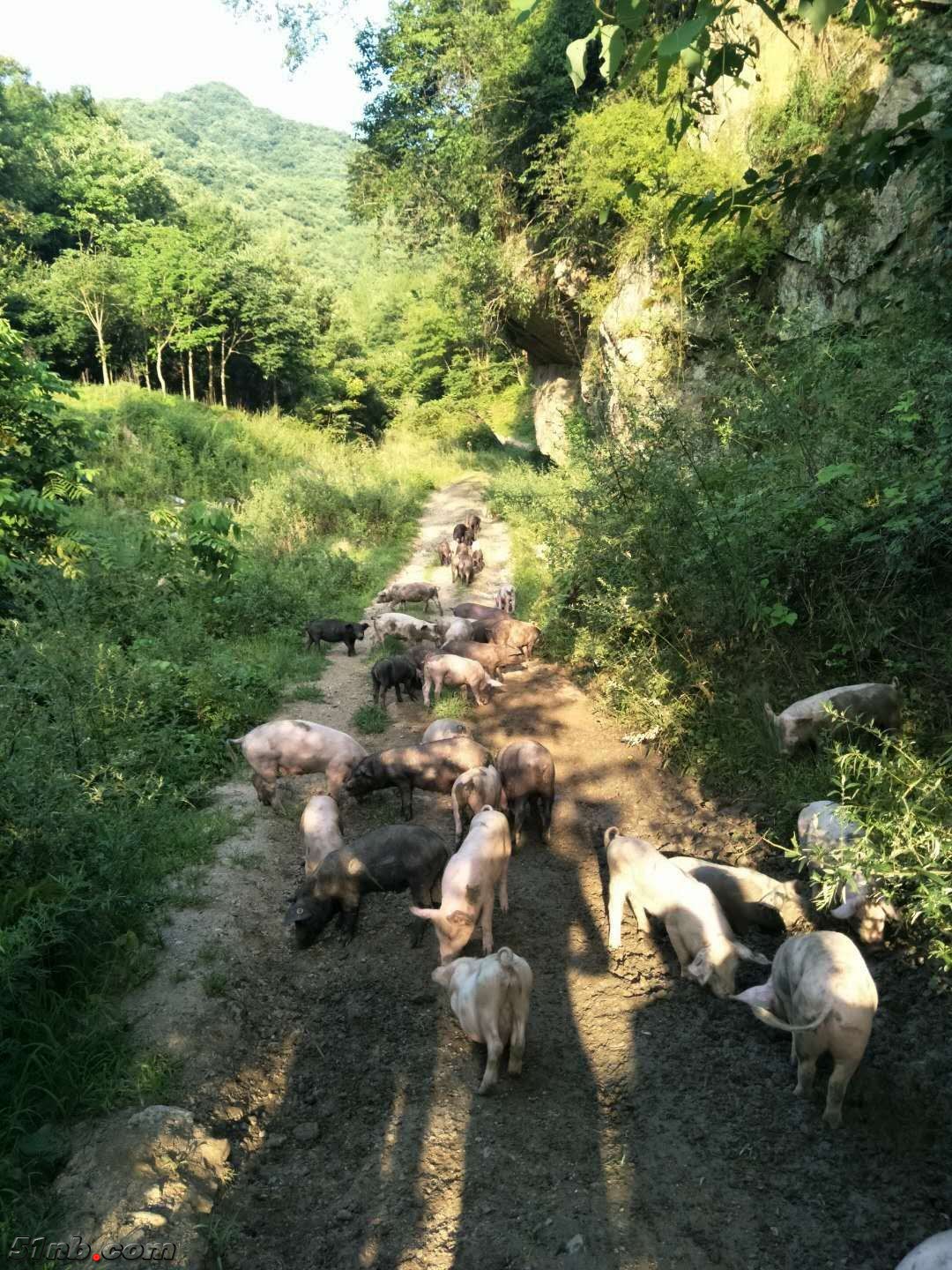微信图片_20180228110405.jpg