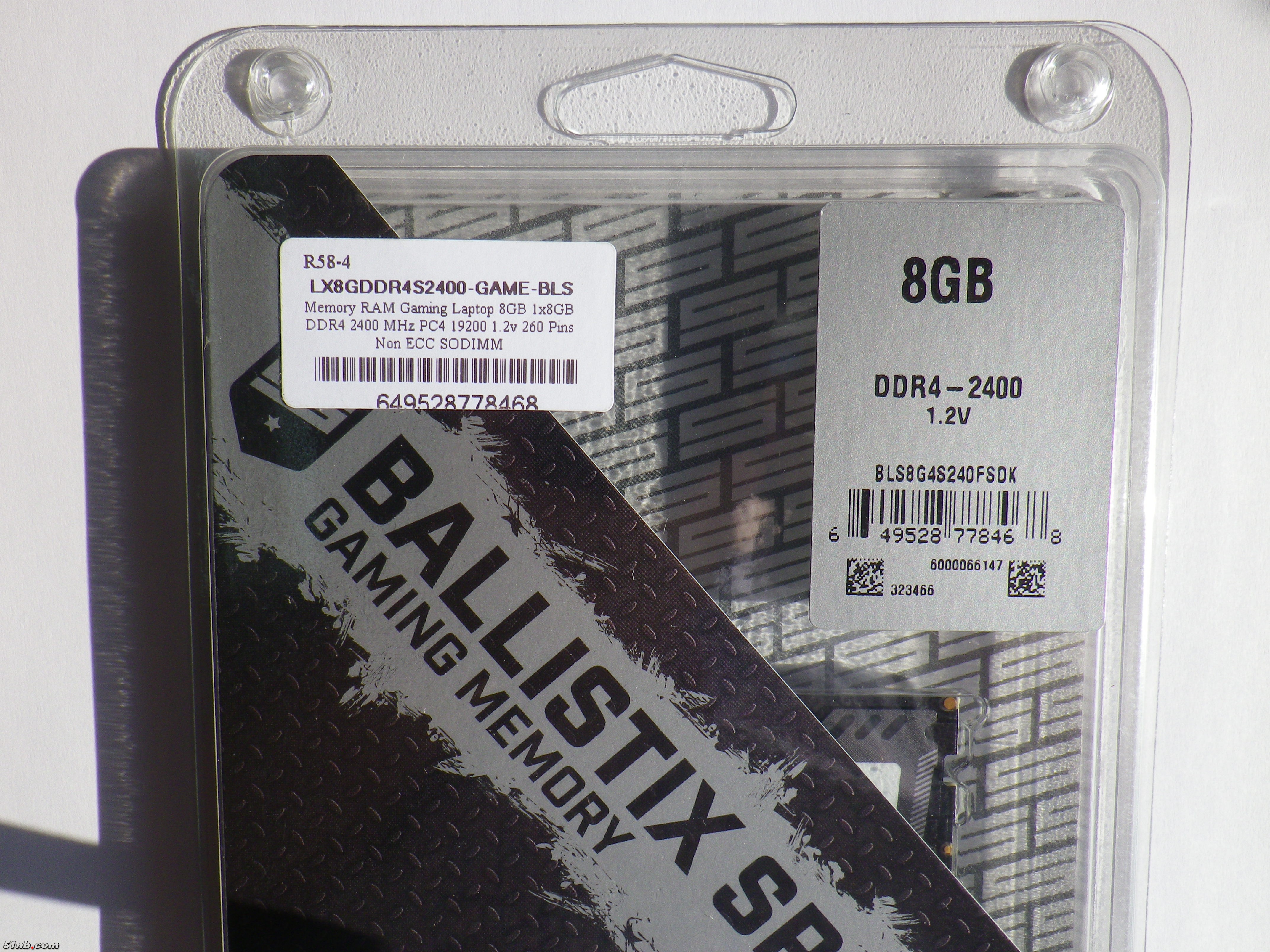 IMGP0113.JPG
