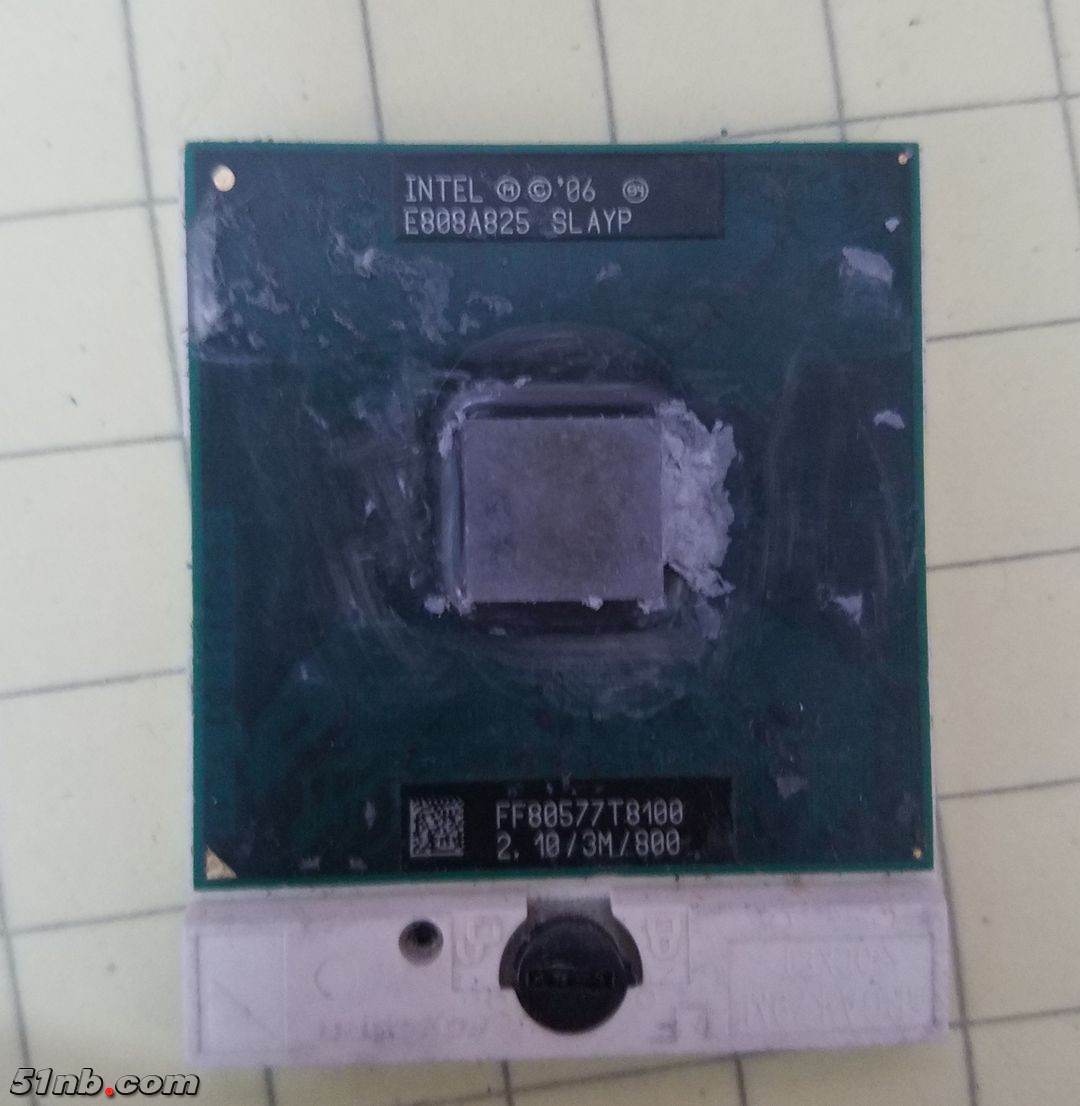 T8100_1.jpg