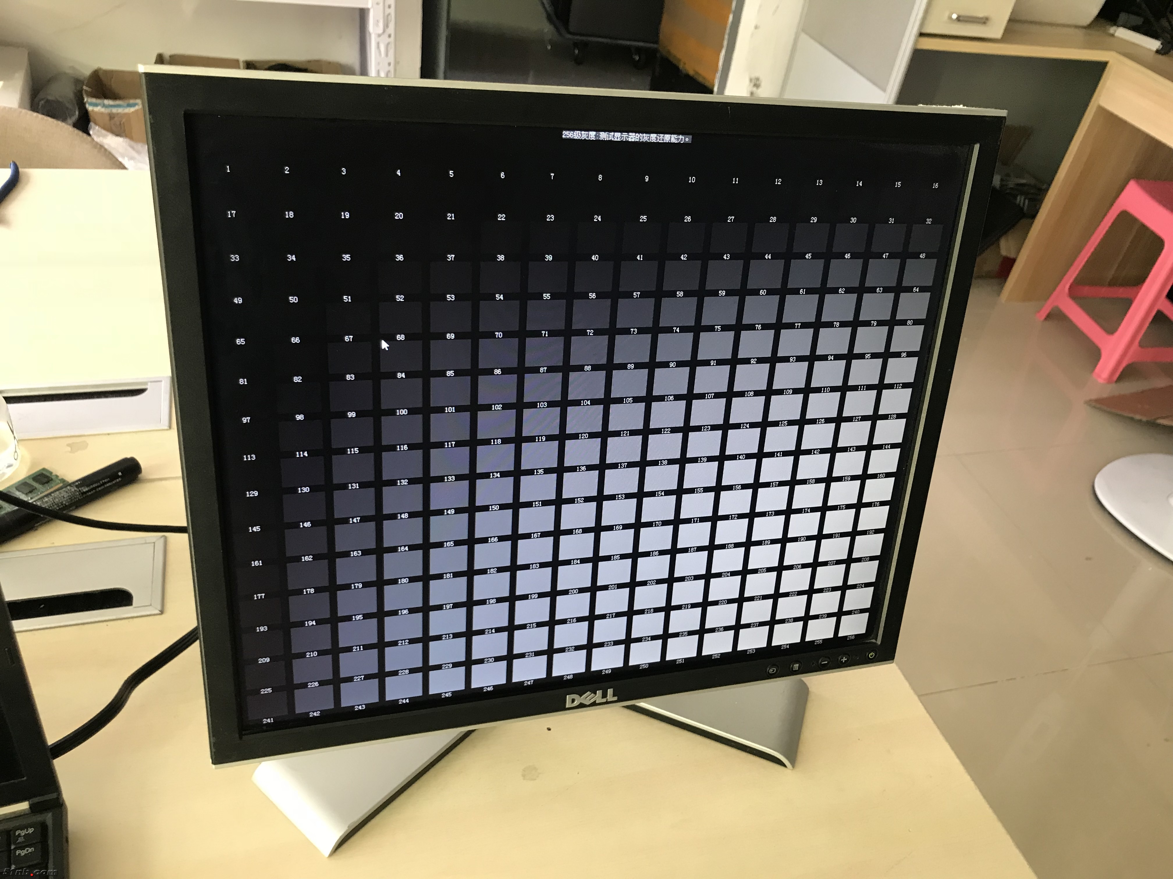 DELL 1908-2.jpg