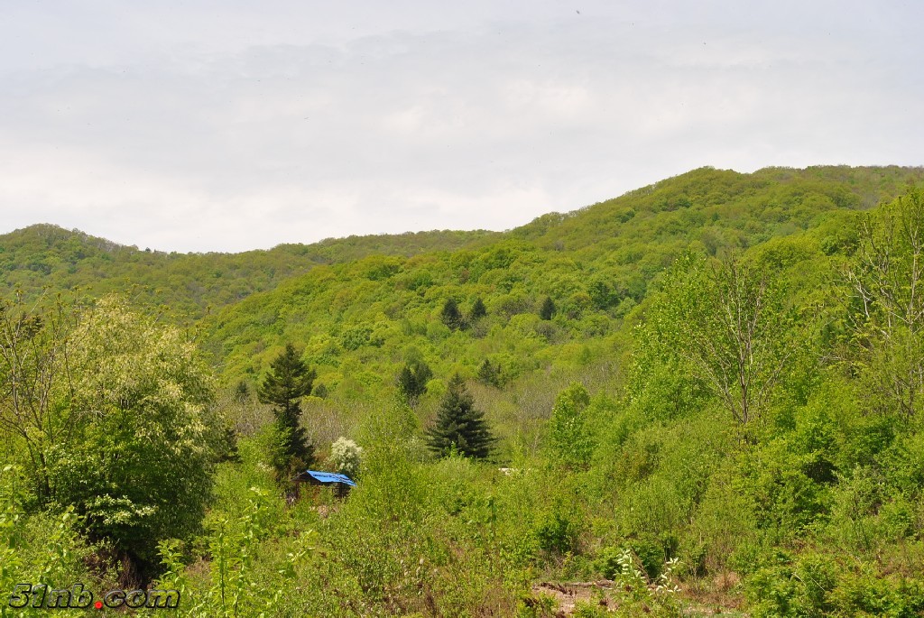 DSC_0091.JPG