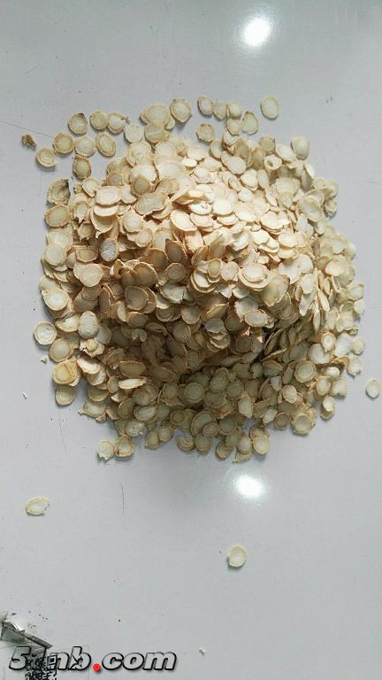 QEBE1364.jpg
