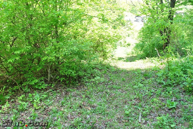 DSC_0056.JPG