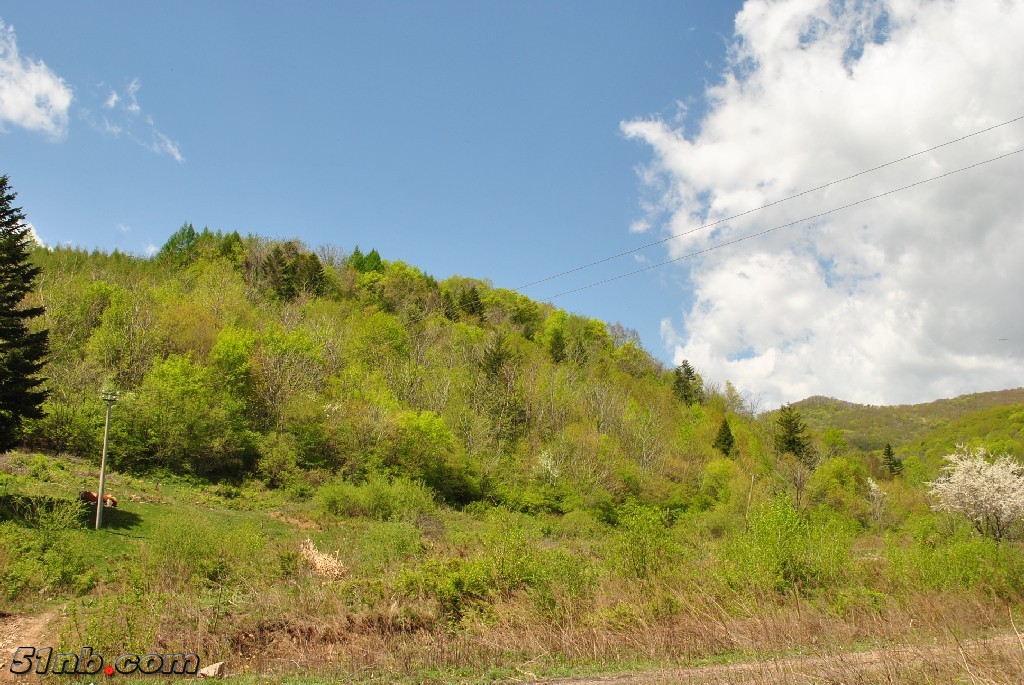 DSC_0016.JPG