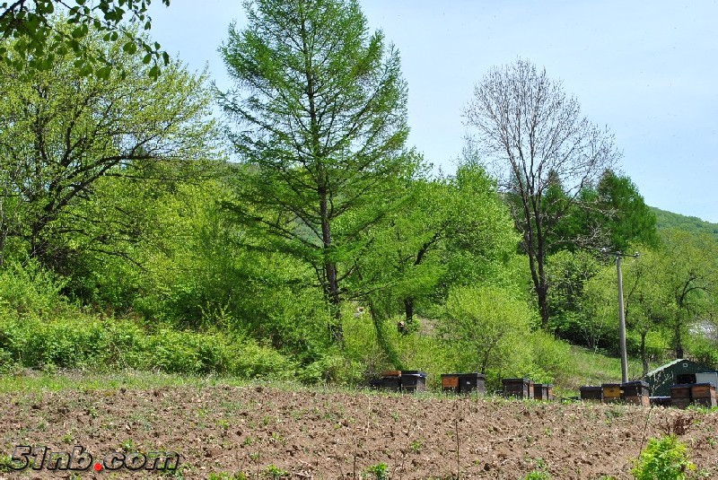 DSC_0095.JPG