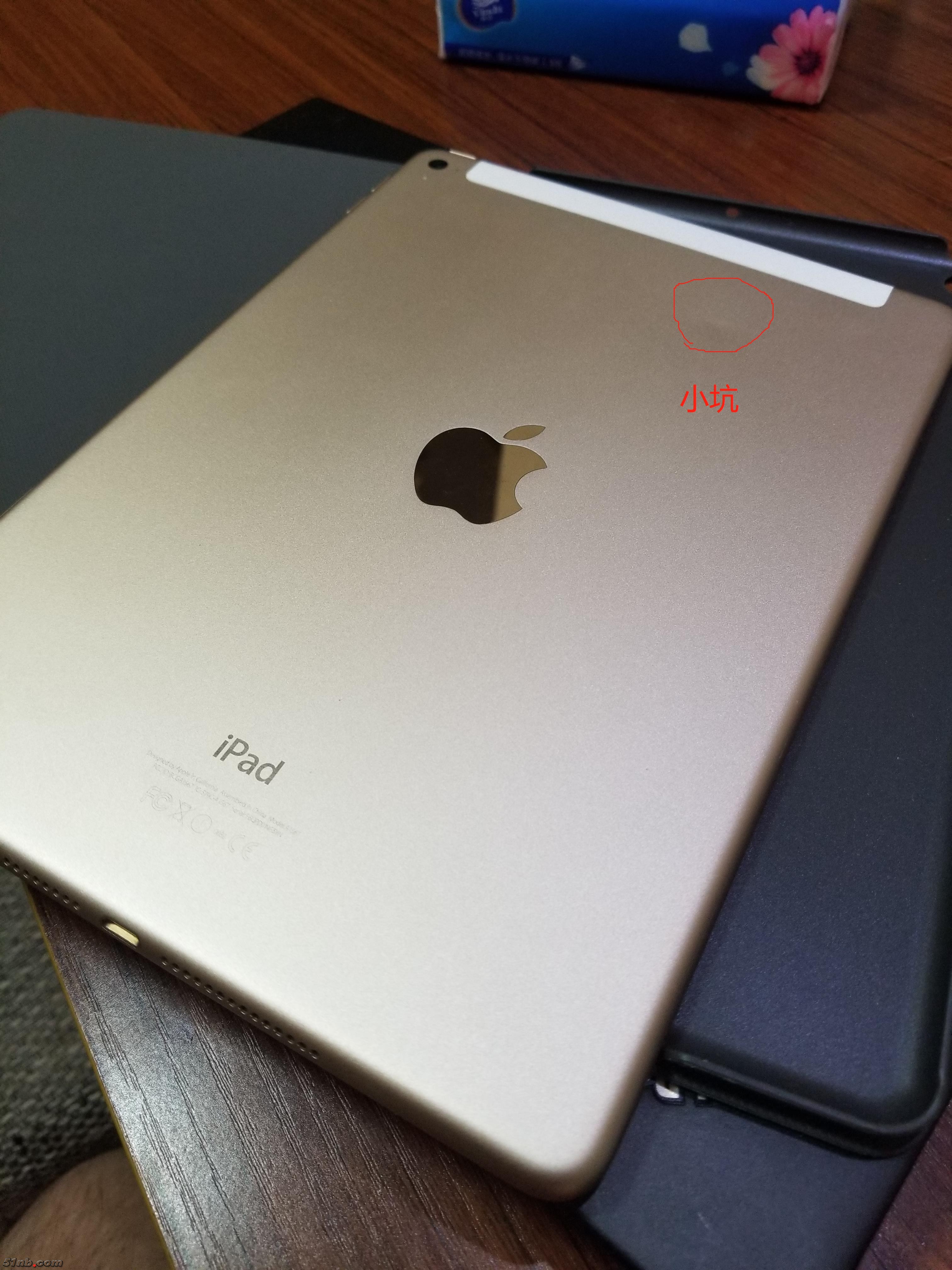 ipad-小坑.jpg
