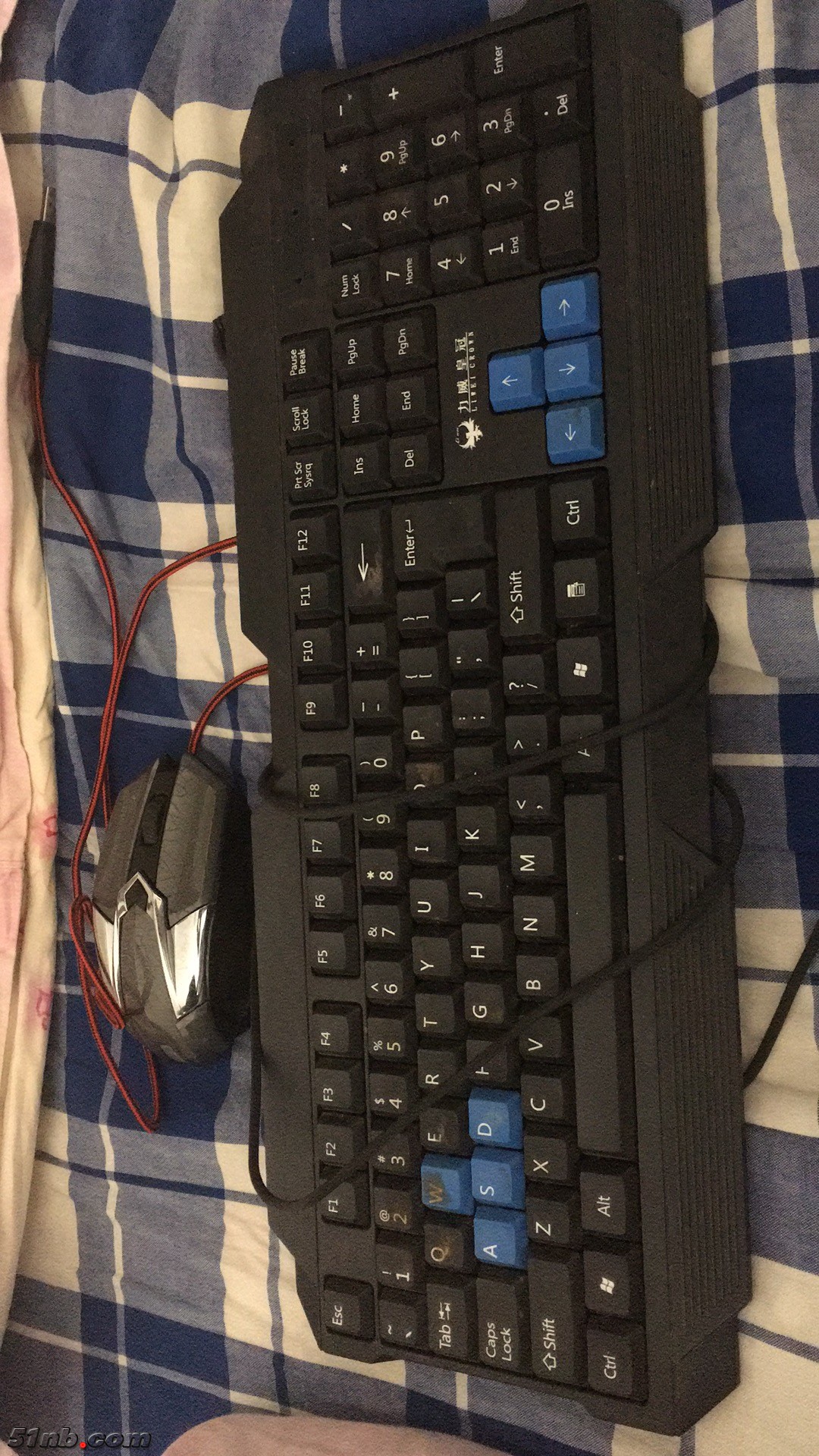 657151186.jpg