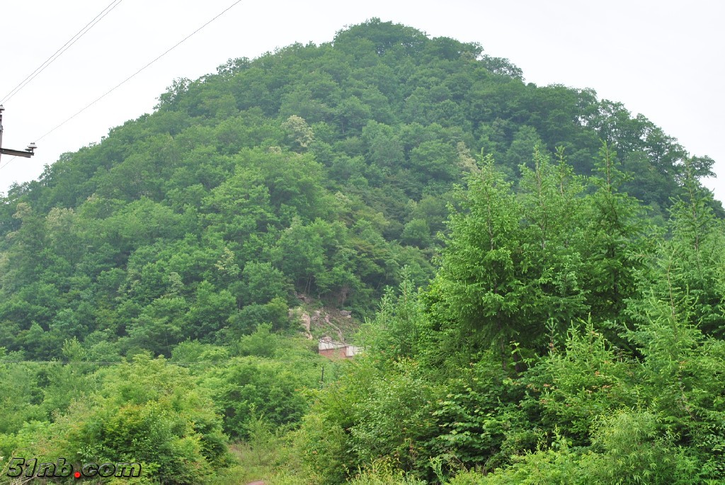 DSC_0055.JPG