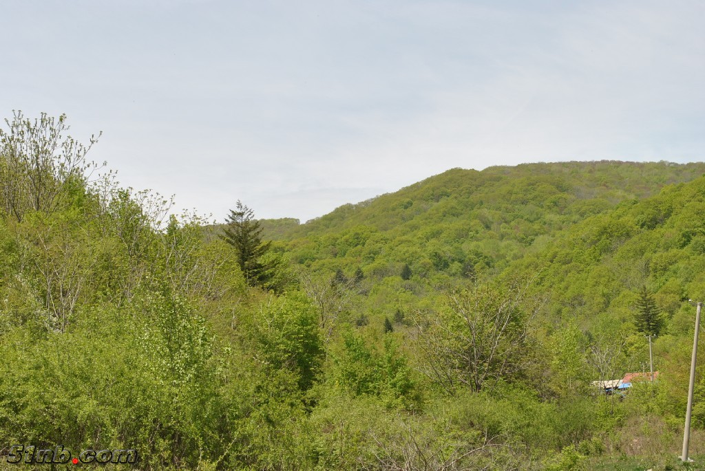 DSC_0074.JPG