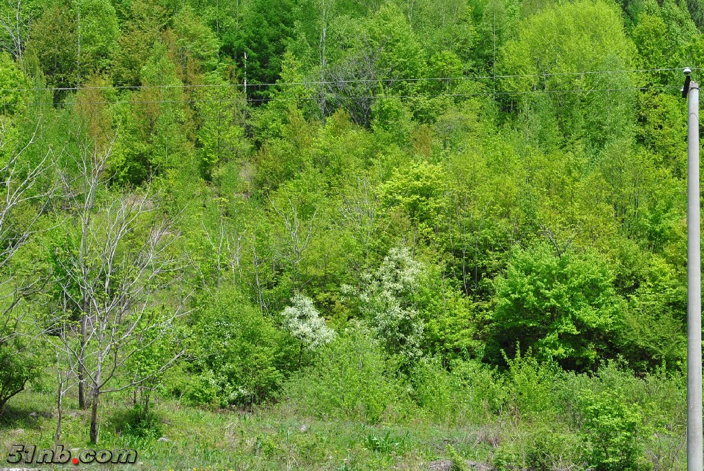 DSC_0090.JPG